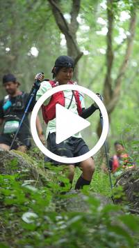 BIB:  <button type="button" onclick="openModal(27935444)" class="btn btn-primary btn-sm float-right" data-toggle="modal" data-target=".modal-high-quality">
                <i class="fa fa-download"></i> Download
                </button>